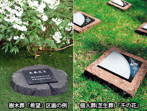 樹木葬「希望」と個人葬「千の花」の例(写真)
